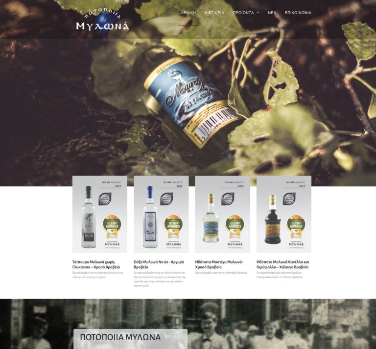 Portfolio Κατασκευή eshop Πύργος portfolio milonas